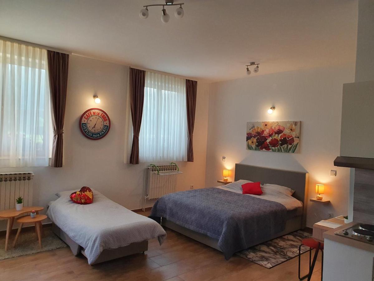 Studio Apartmani Toplicka Bajka Крапінське Топліце Екстер'єр фото